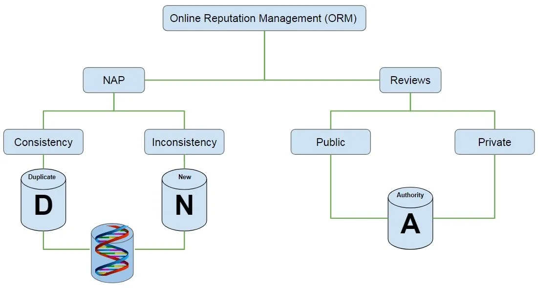 diagram of ORM DNA process - the way search engines see it
