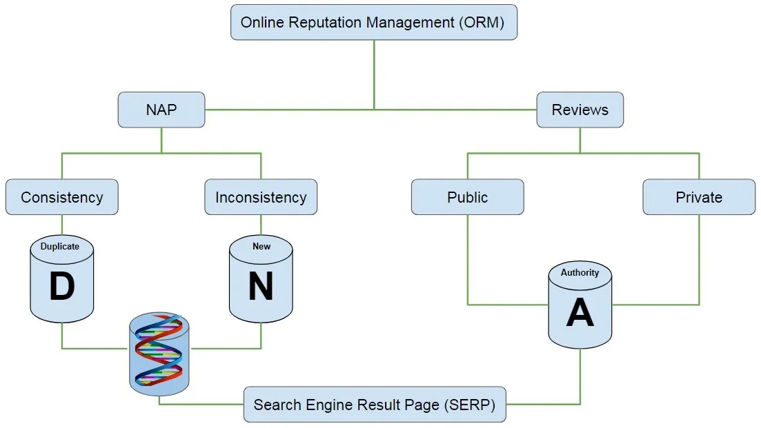 Complete diagram of a website ORM DNA process - explained