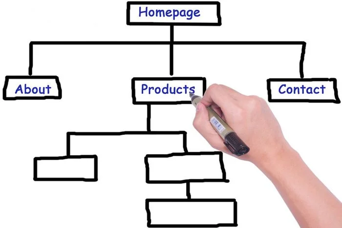 SEO 101: The Importance of Website Structure